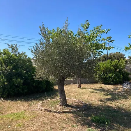 Maison Lozari - 3 - 6 Personnes Holiday home *